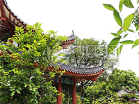 -河北晨雄古建園林工程