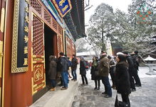 新聞詳情 行業(yè)資訊 古建建筑裝飾專業(yè)委員會